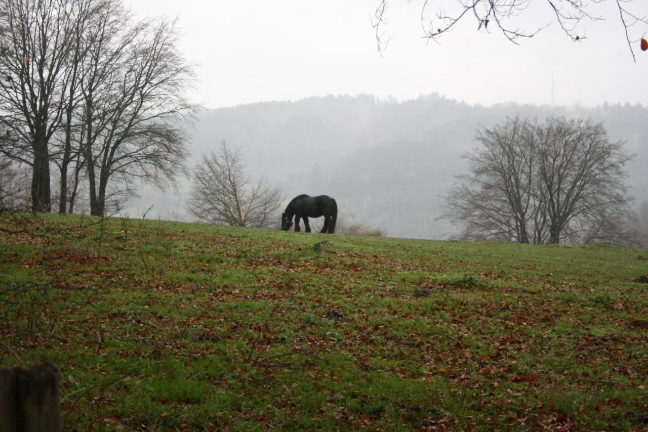 Le Lumadel Malmedy Exterior foto